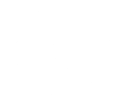 Mad Moose Bikes